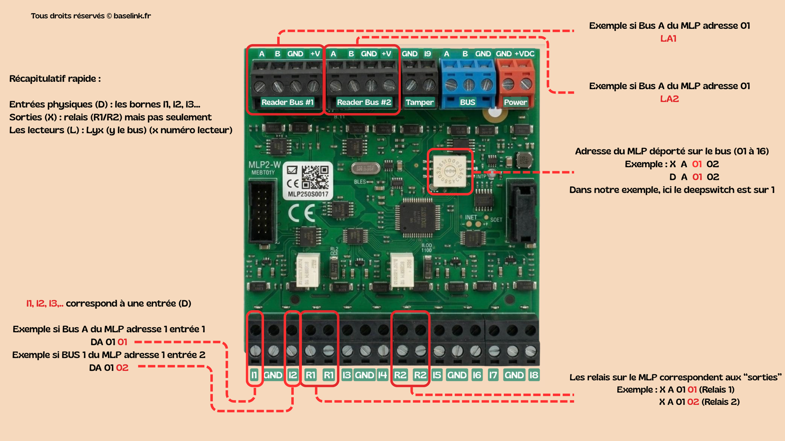 Schéma module MLP2 avec correspondance bornes physiques et registres microcode TILLYS